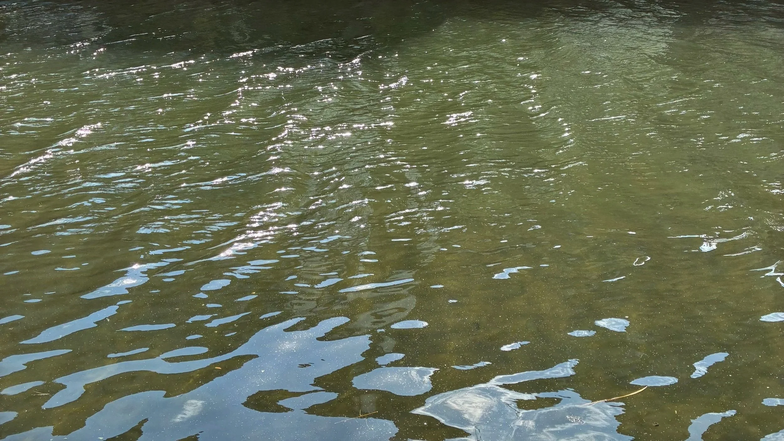 For a Girl so Scared to go Back to Los Angles, I’m Disassociating at the Local Barry’s with the Best of Em’