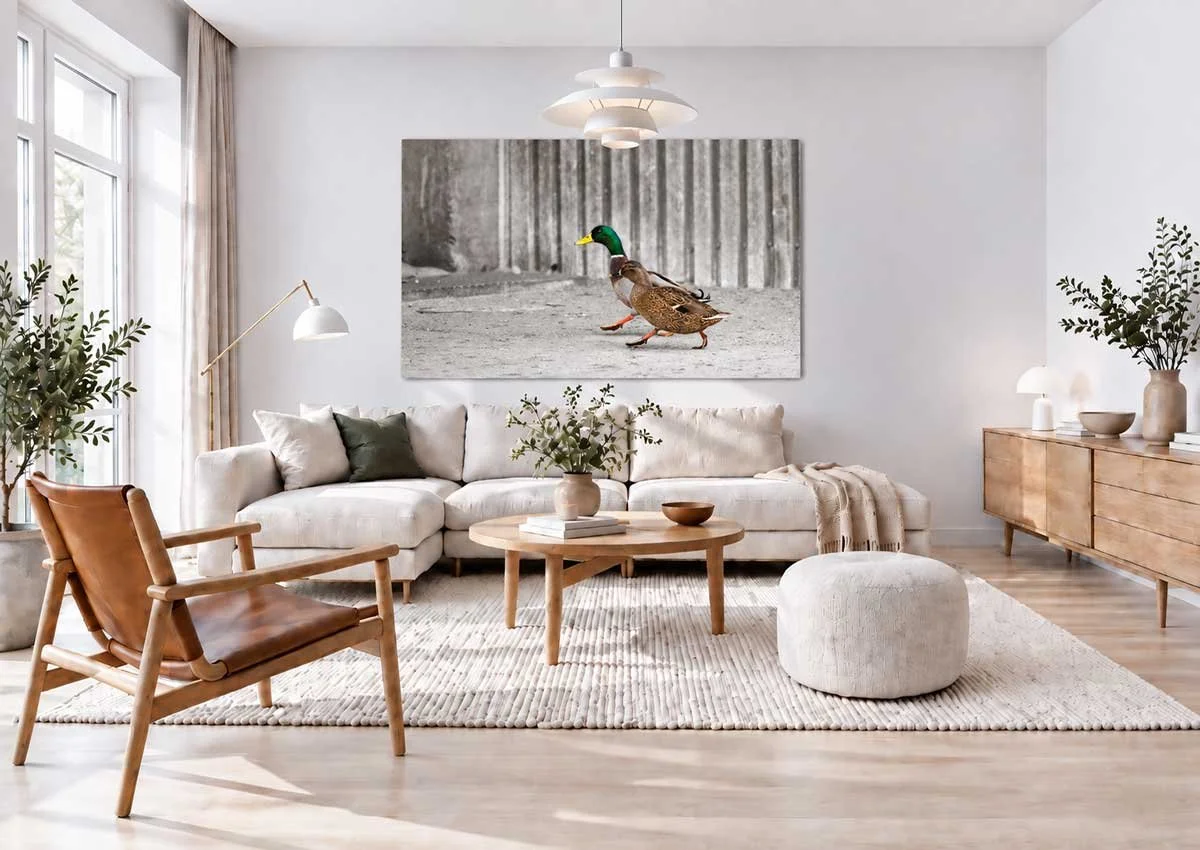 Scandinavian-Living-Room-with-Colorful-Duck-Art.jpg