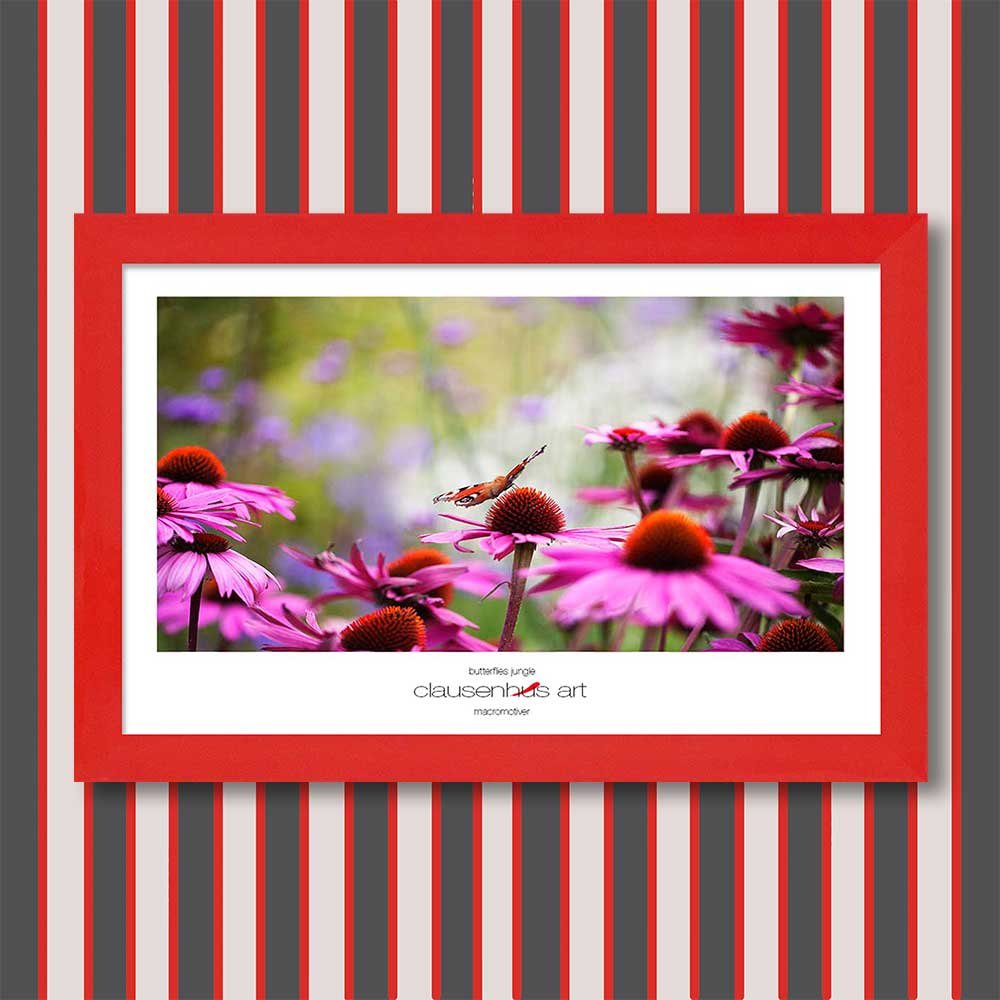 butterflies-jungle-copy.jpg