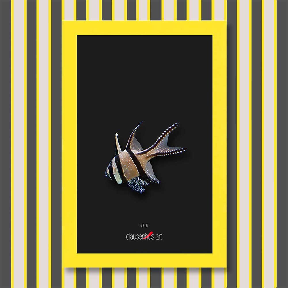 fish-5-copy.jpg