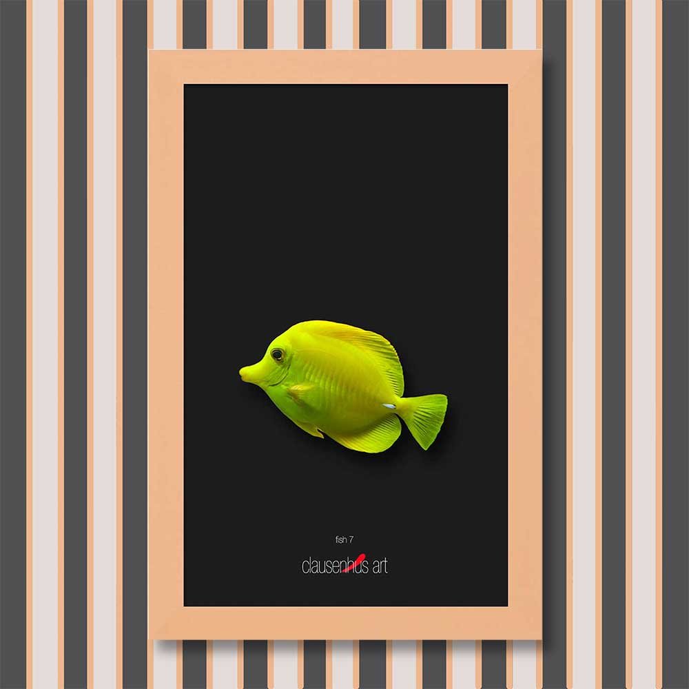 fish-7-copy.jpg