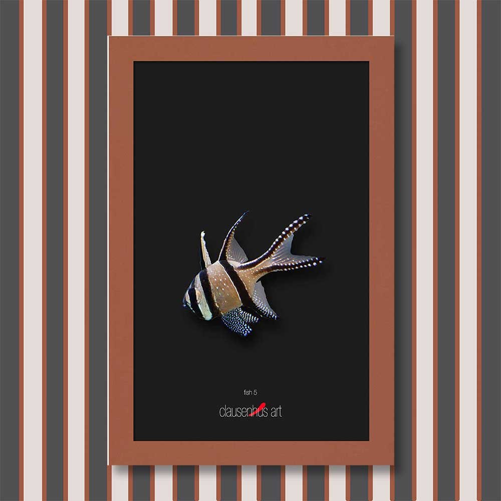 fish-5-copy.jpg