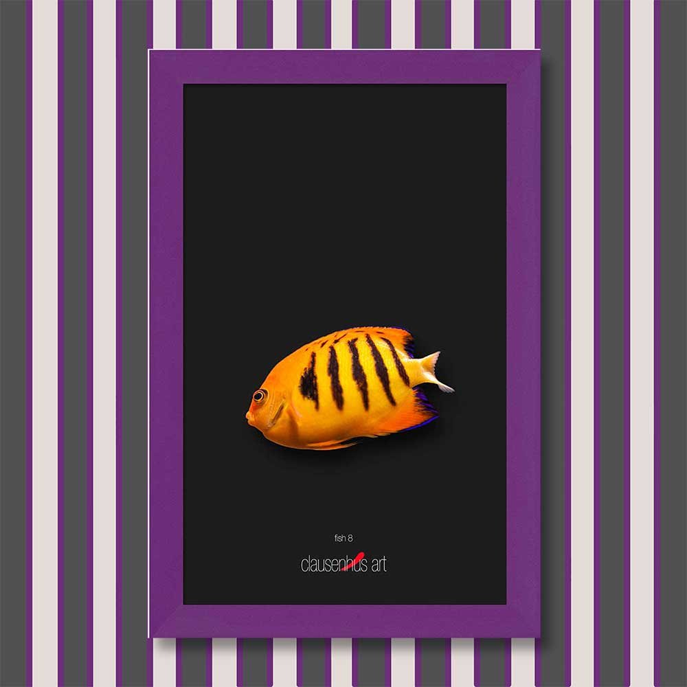 fish-8-copy.jpg