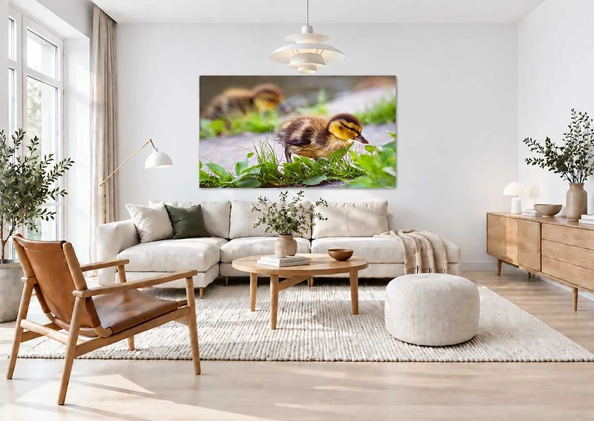 Scandinavian-Living-Room-with-Duckling-Art.jpg