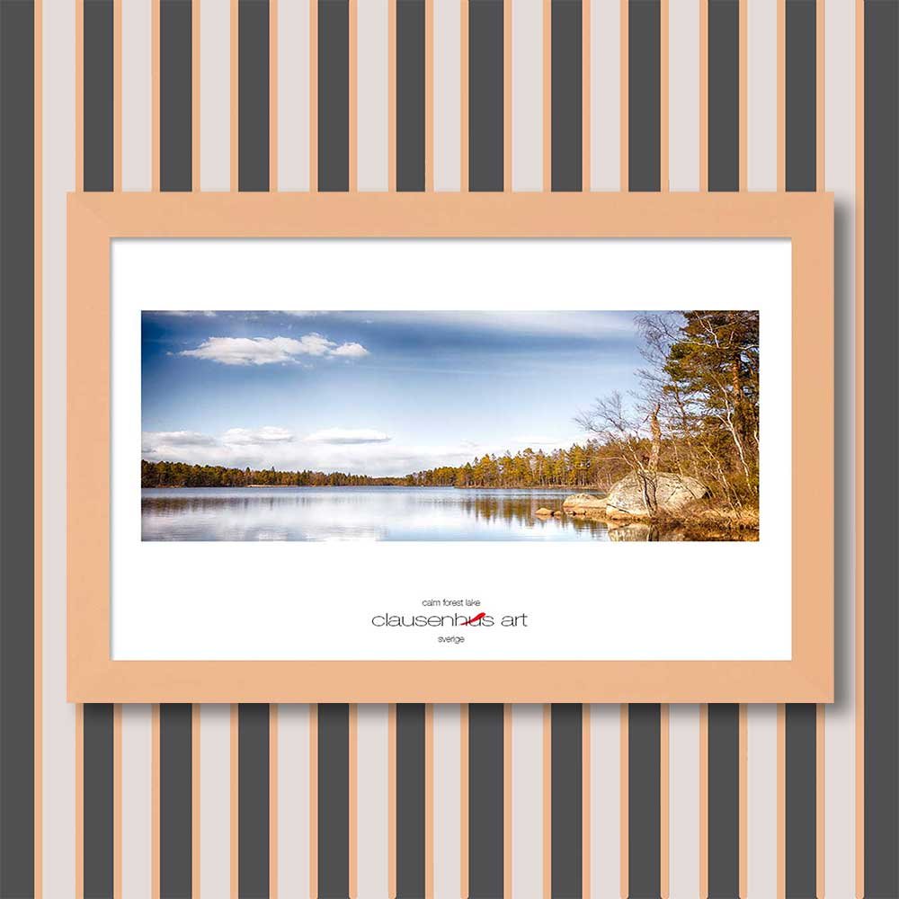 calm-forest-lake-copy.jpg