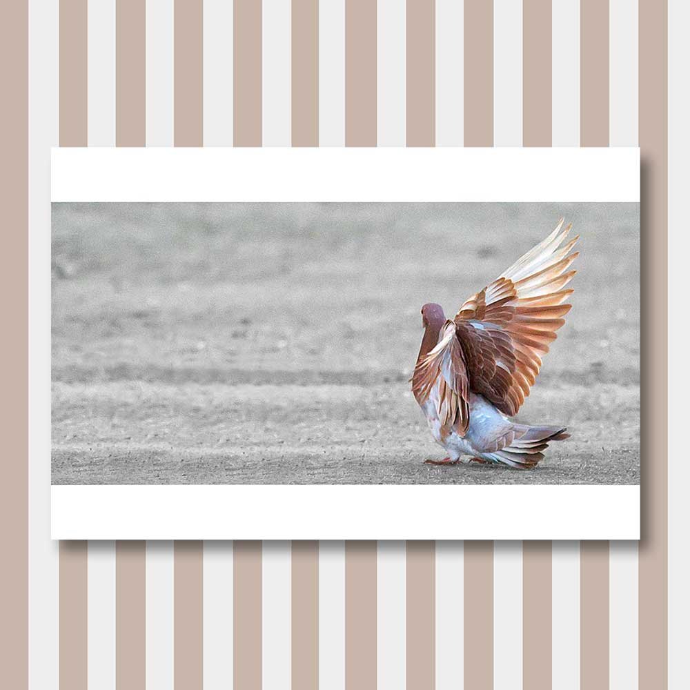 titel: pose