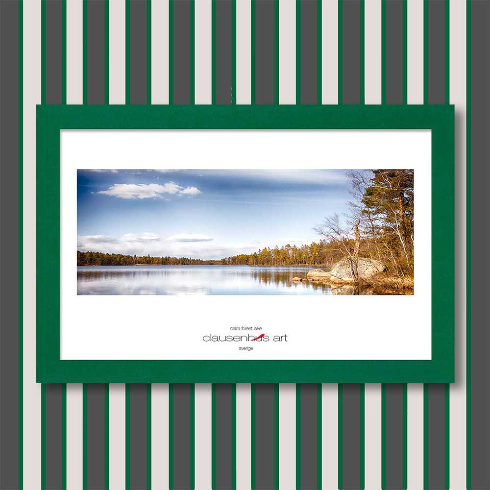 calm-forest-lake-copy.jpg