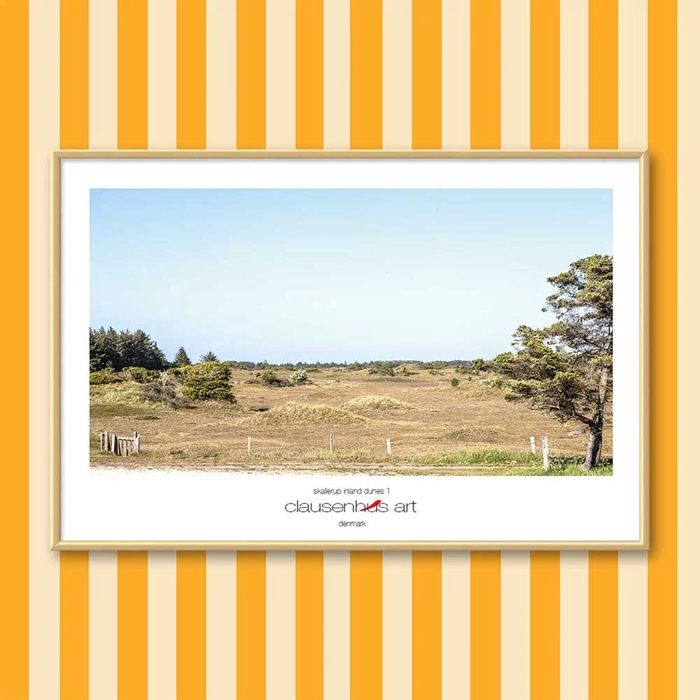 skallerup-inland-dunes-1.jpg