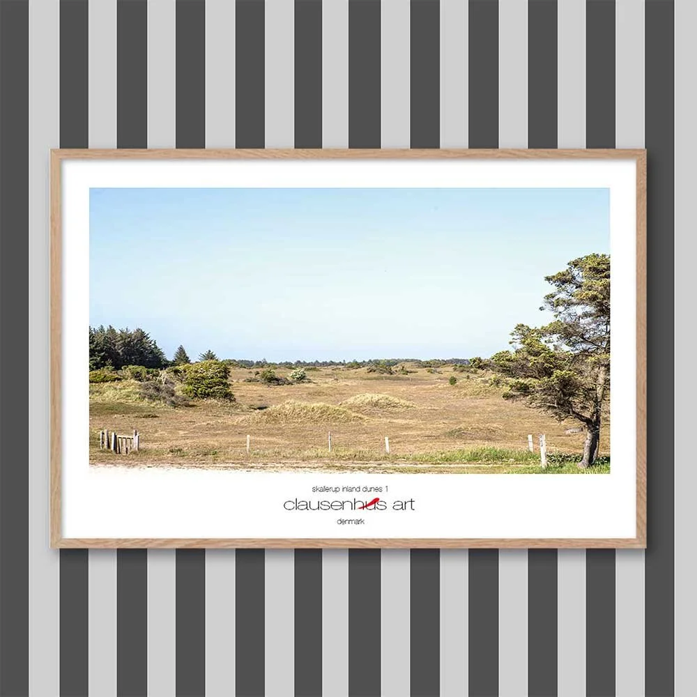 skallerup-inland-dunes-1-copy.jpg