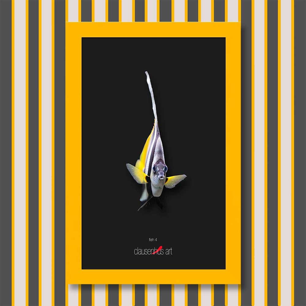 fish-4-copy.jpg
