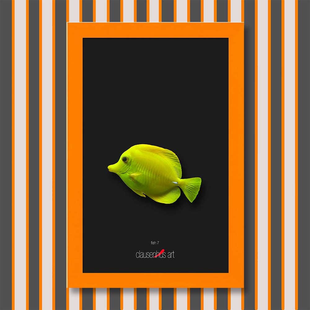 fish-7-copy.jpg