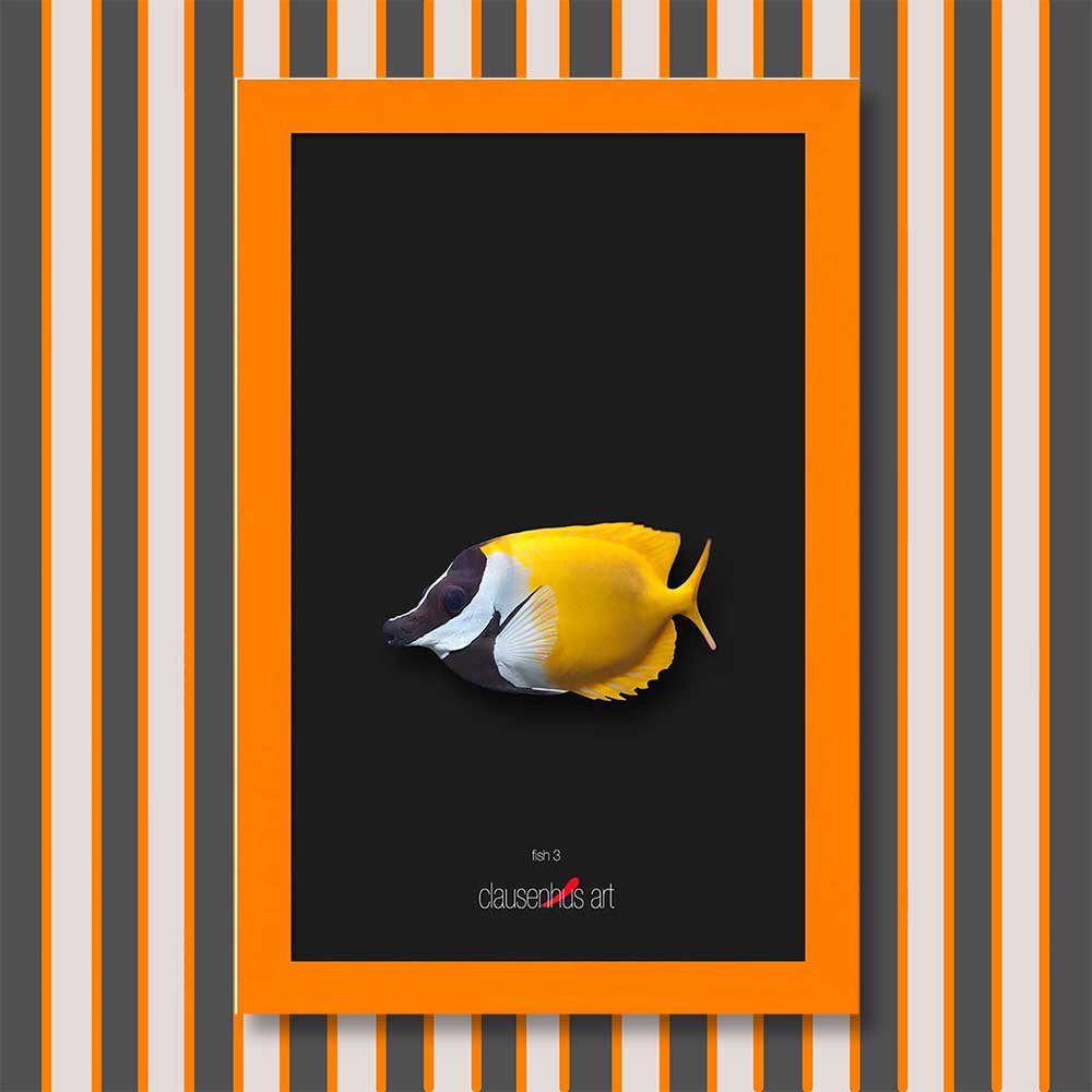 fish-3-copy.jpg