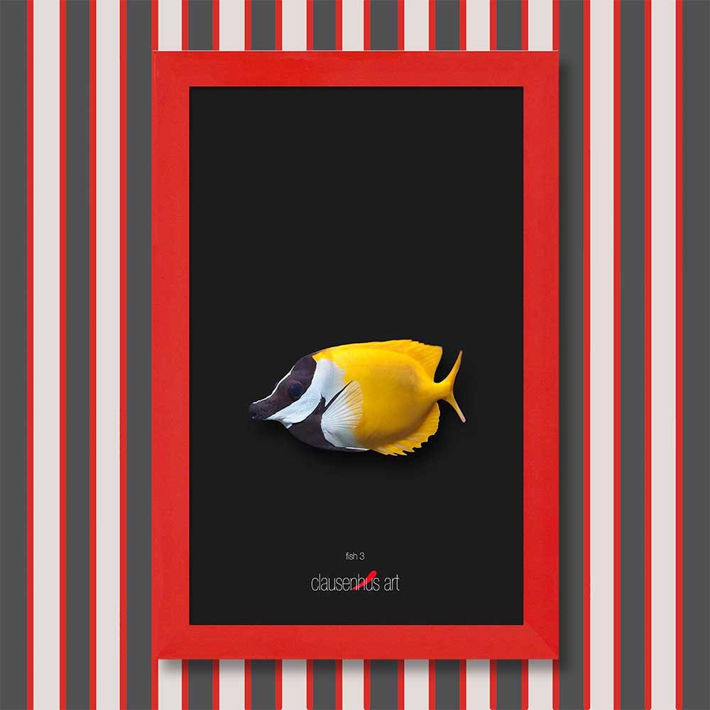 fish-3-copy.jpg