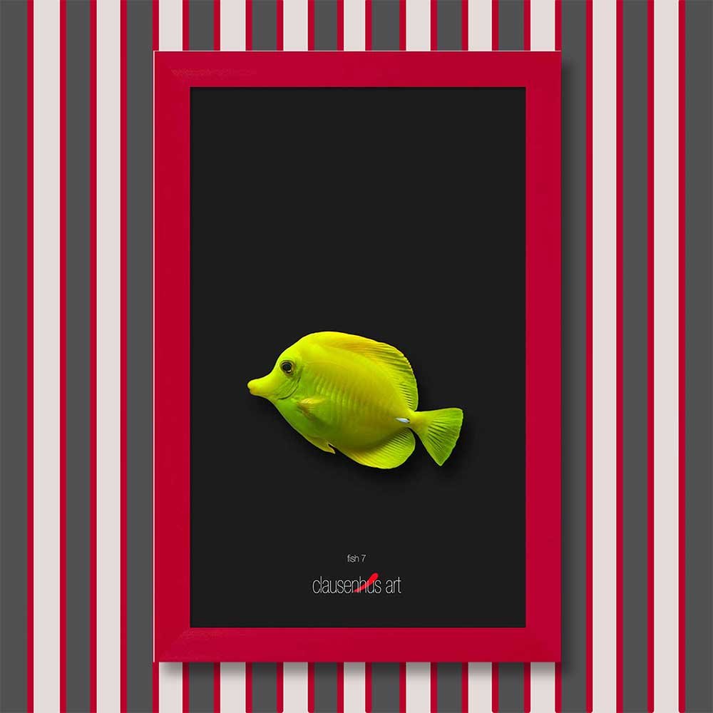 fish-7-copy.jpg