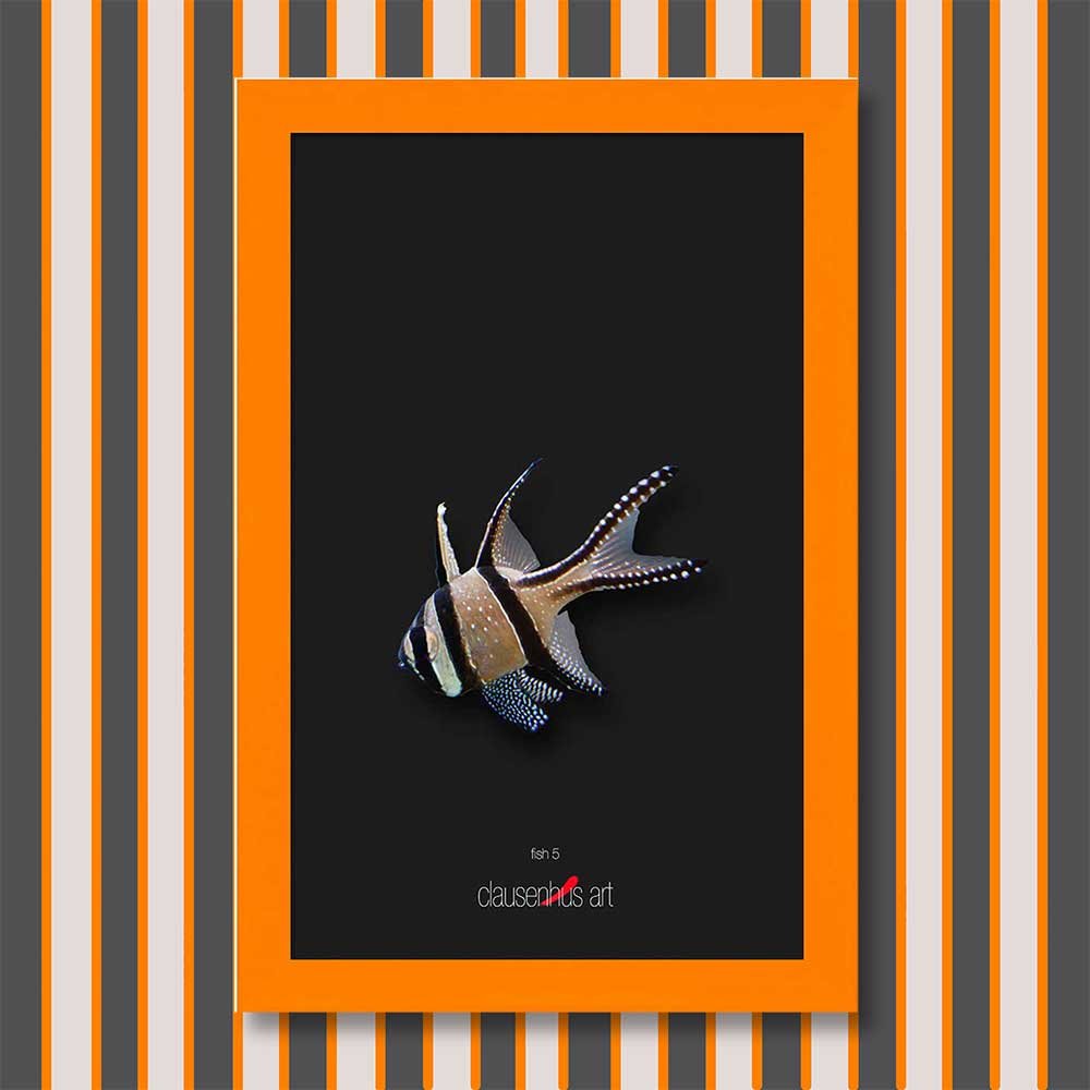 fish-5-copy.jpg