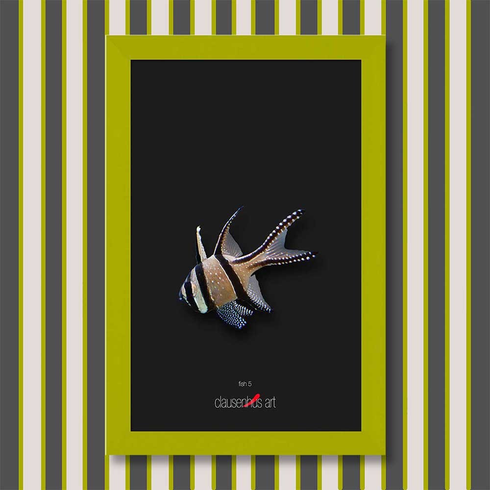 fish-5-copy.jpg