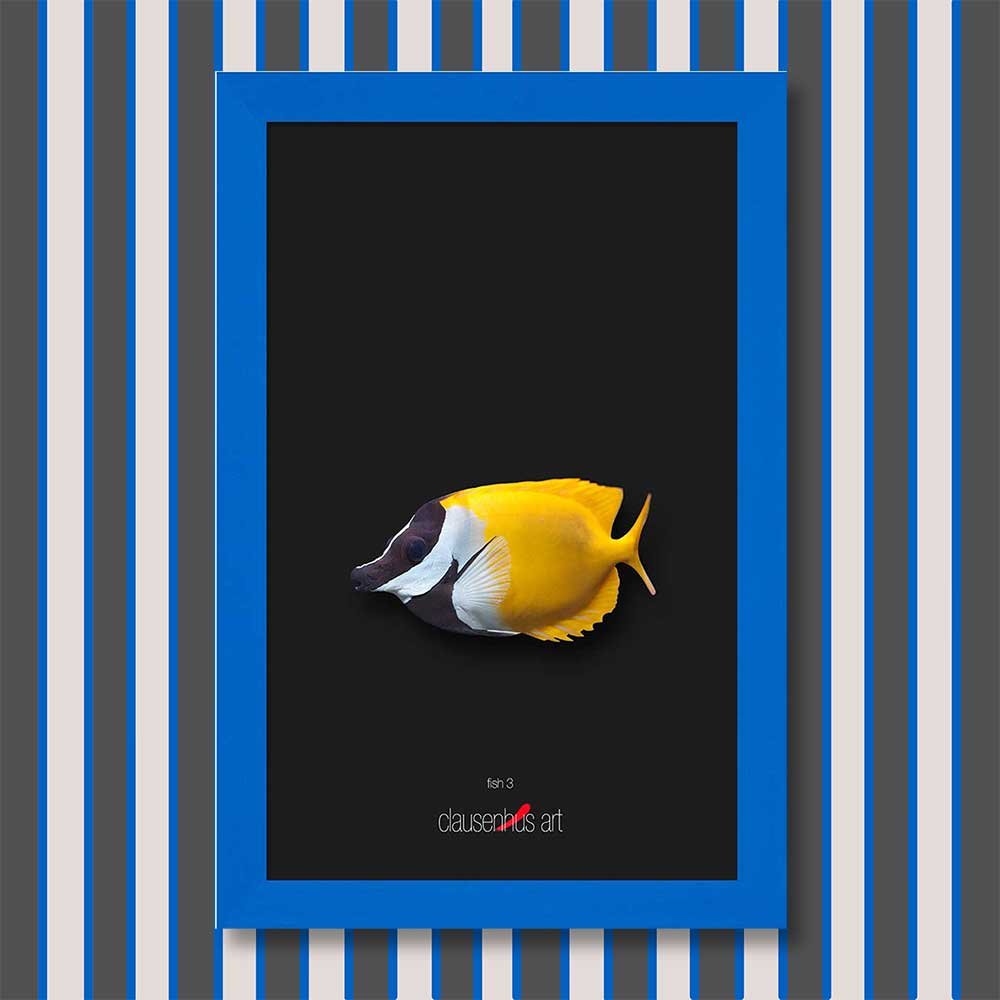 fish-3-copy.jpg