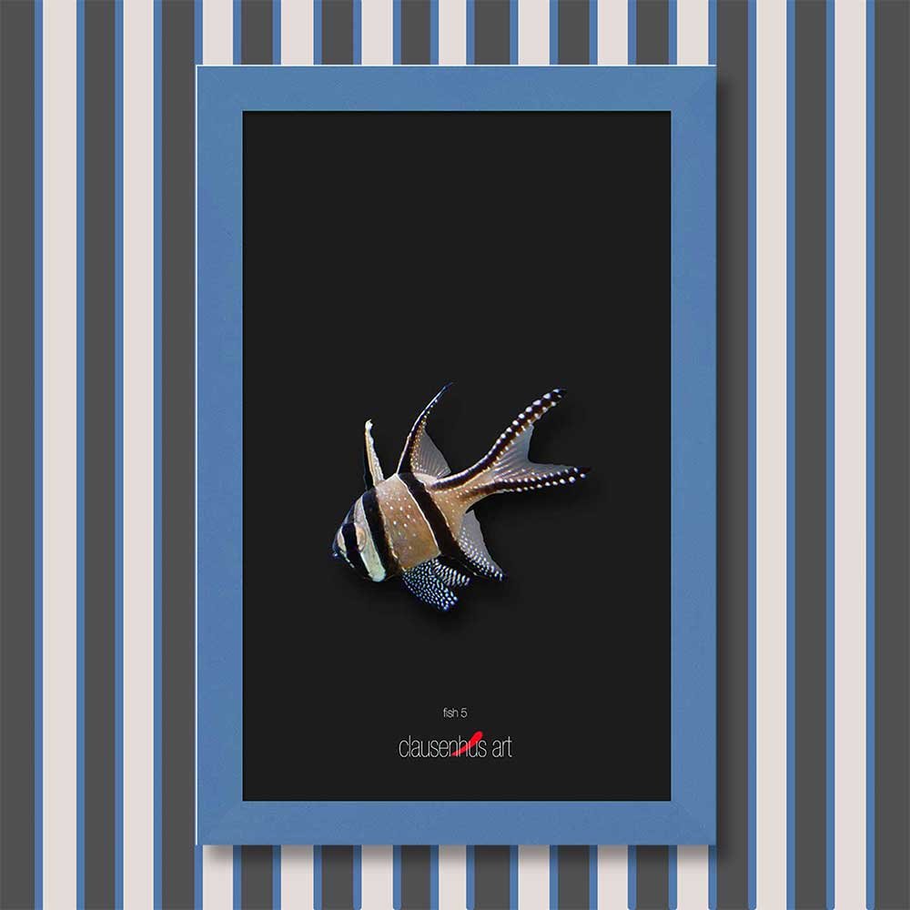 fish-5-copy.jpg