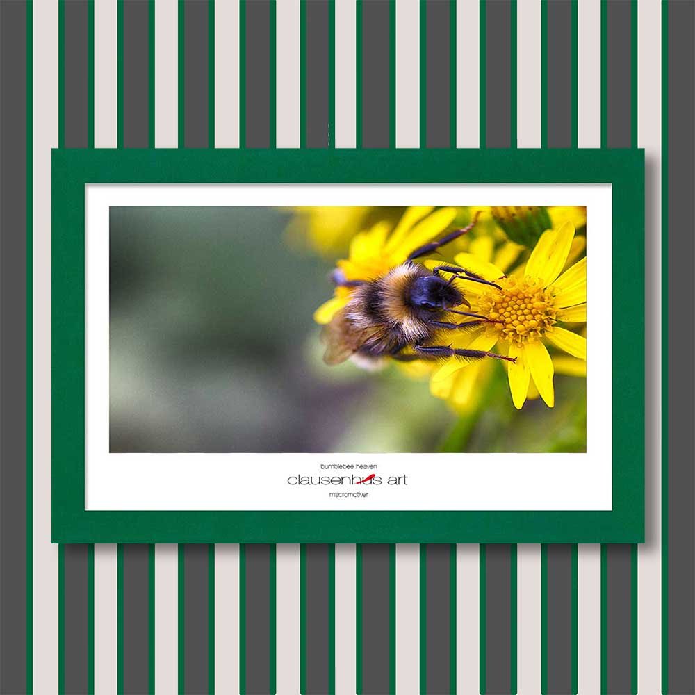 bumblebee-heaven-copy.jpg