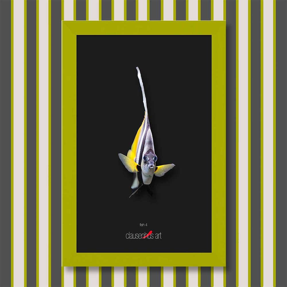 fish-4-copy.jpg