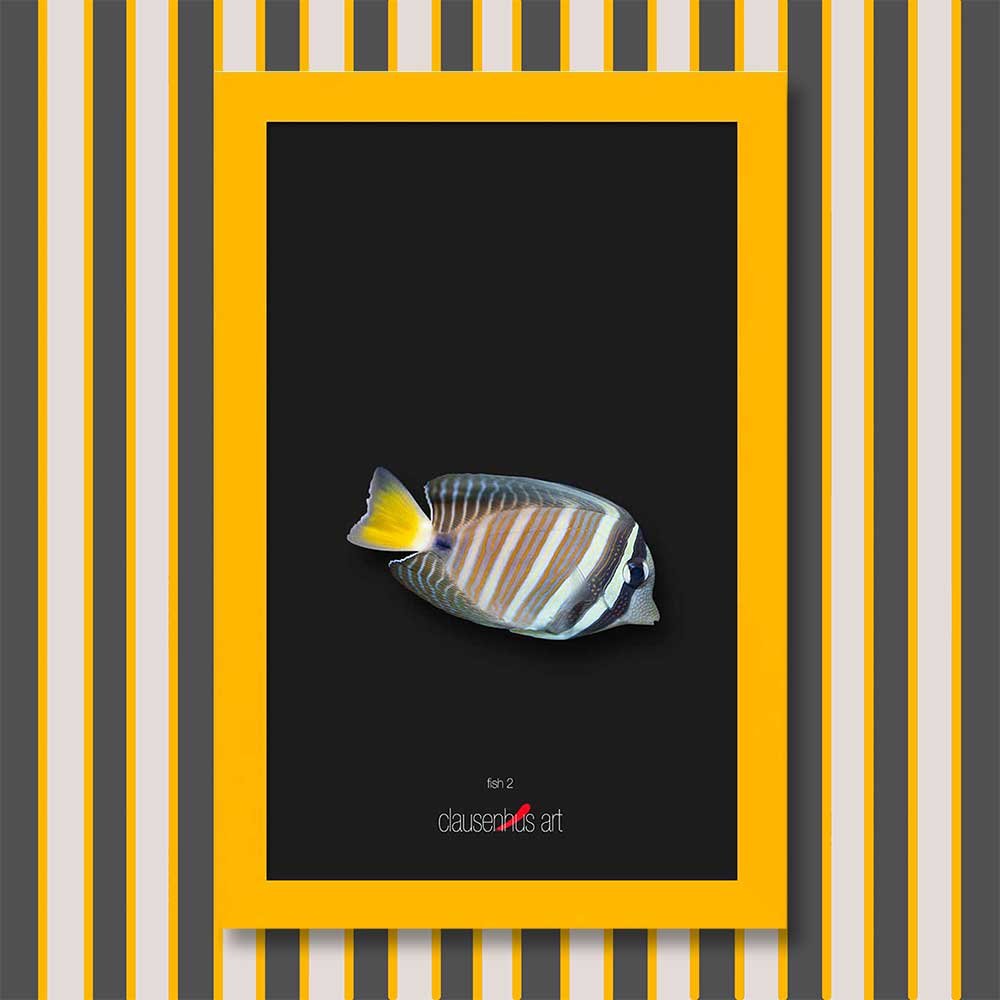 fish-2-copy.jpg