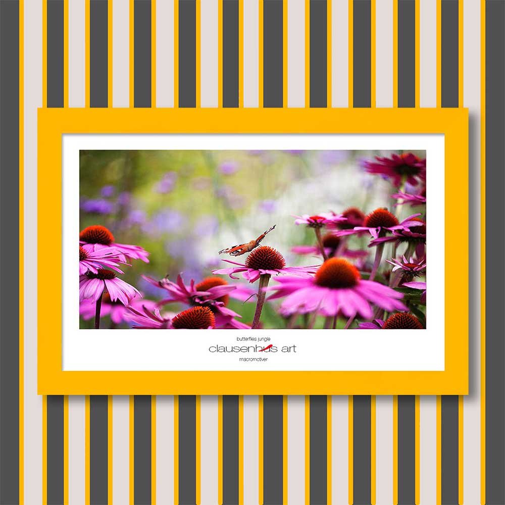 butterflies-jungle-copy.jpg