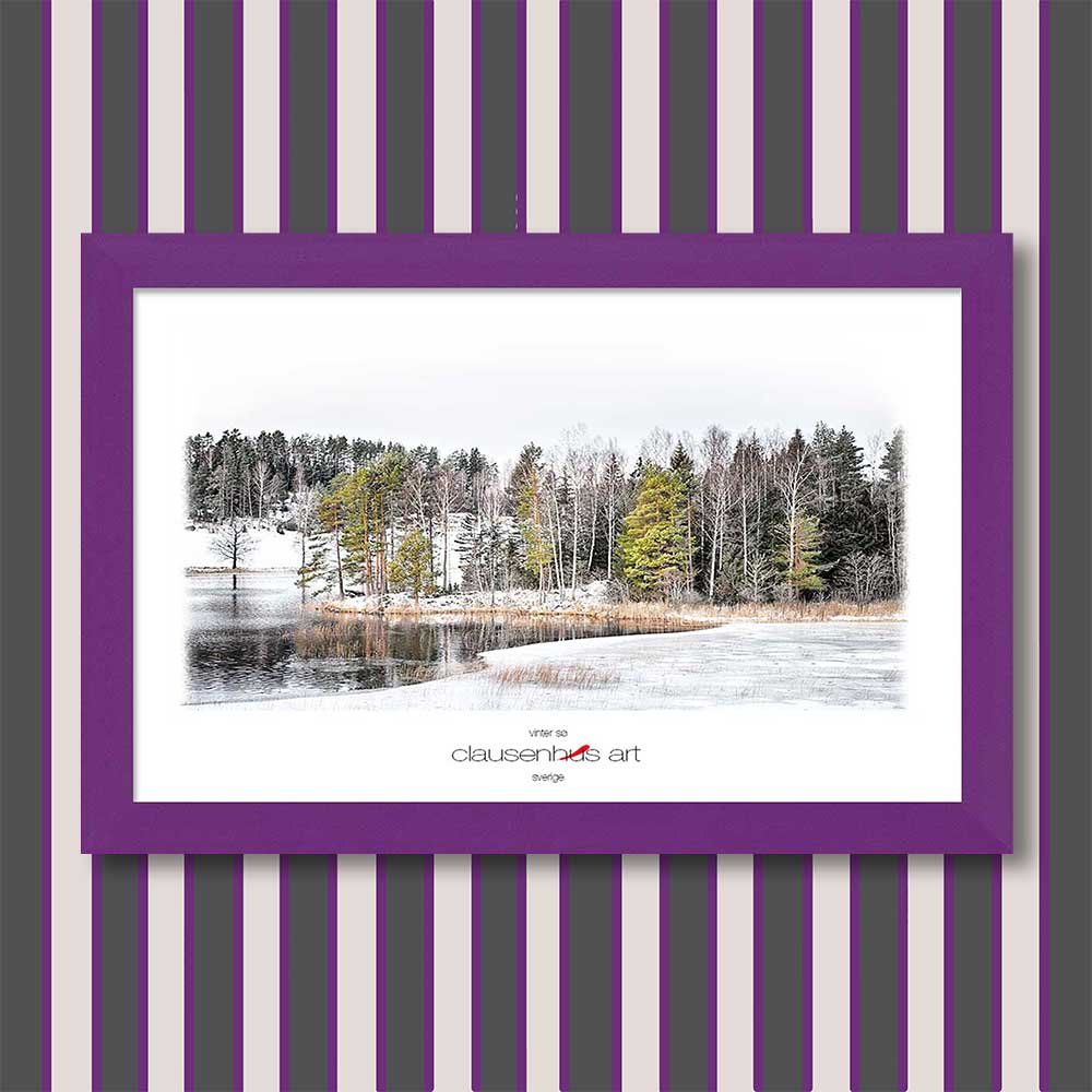 vinter-sø-copy.jpg