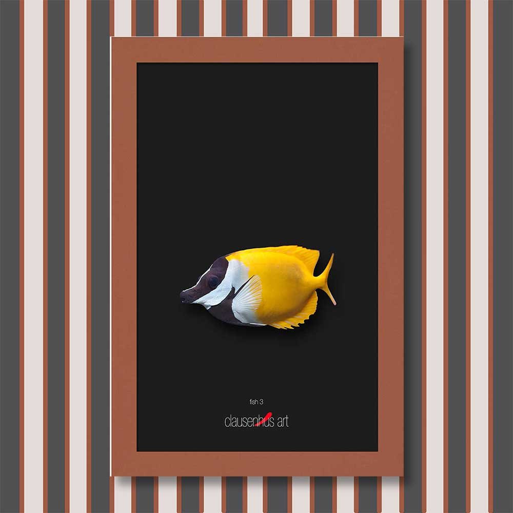 fish-3-copy.jpg