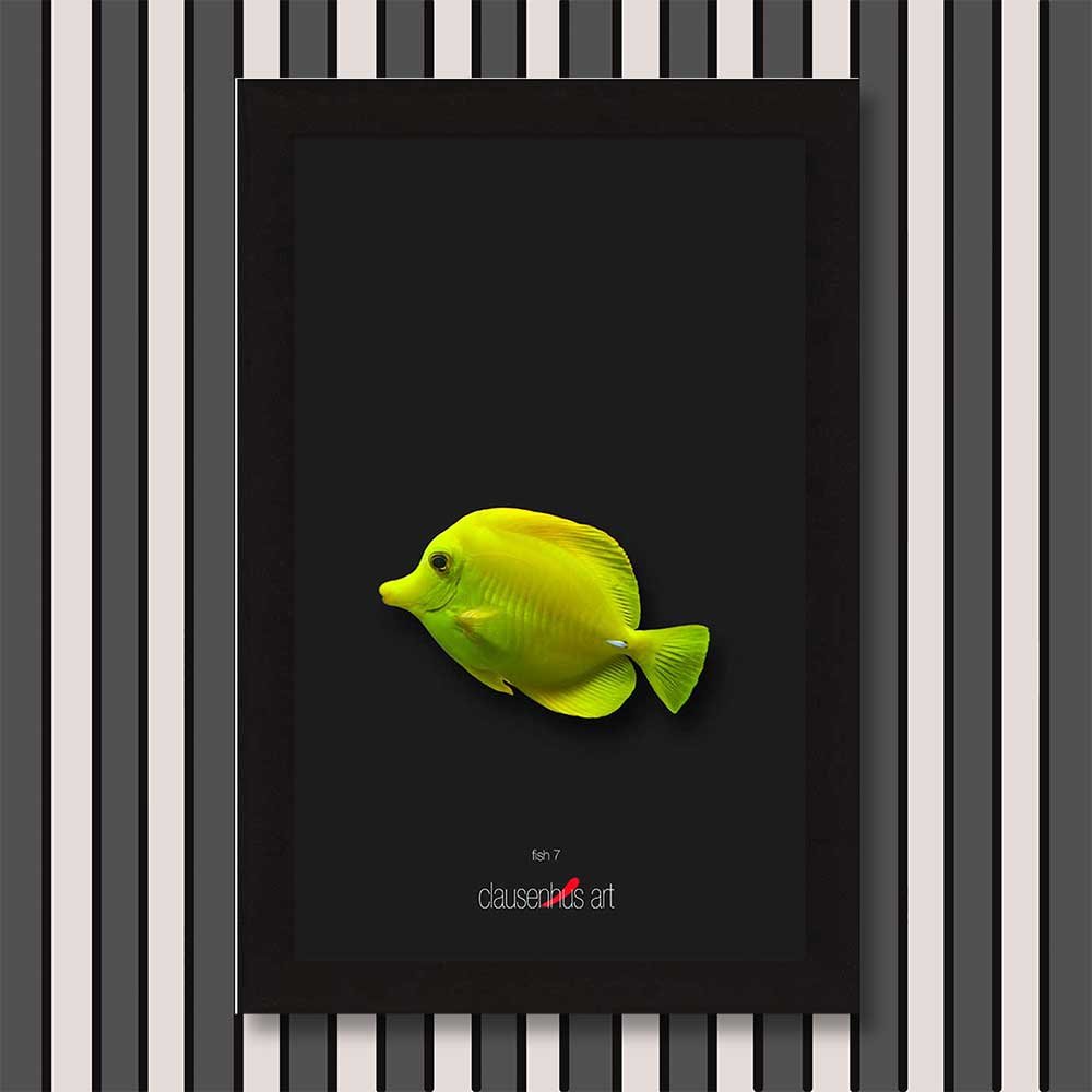 fish-7-copy.jpg