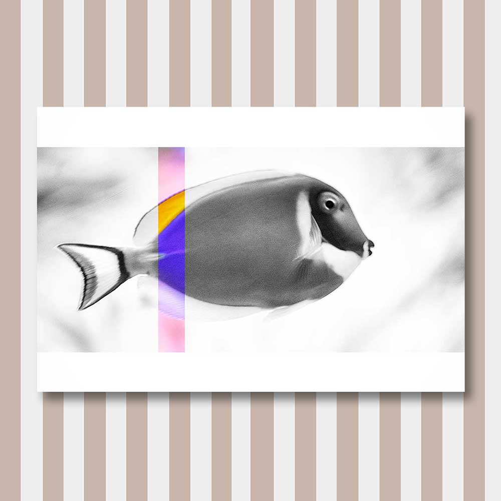 titel: perception 7