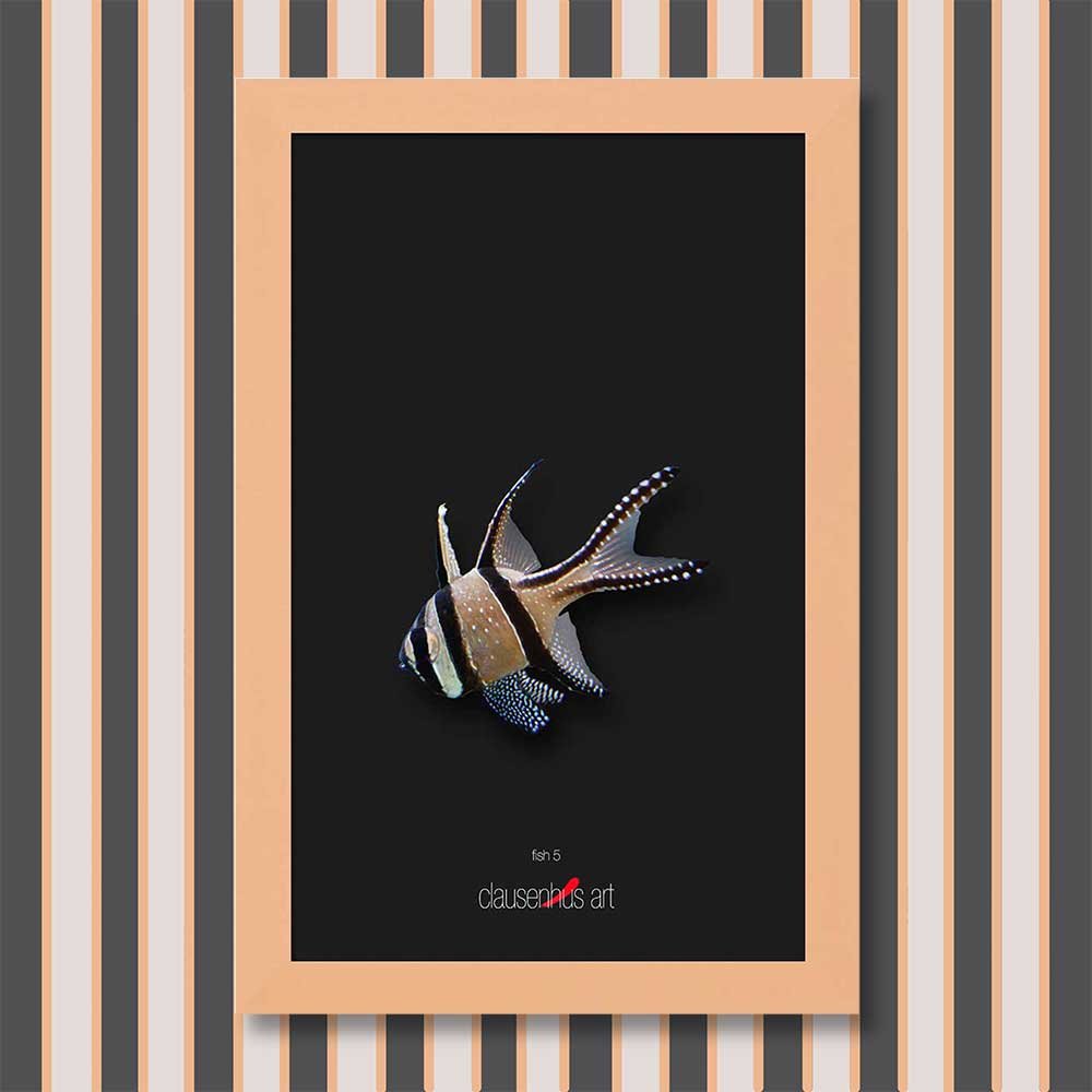 fish-5-copy.jpg