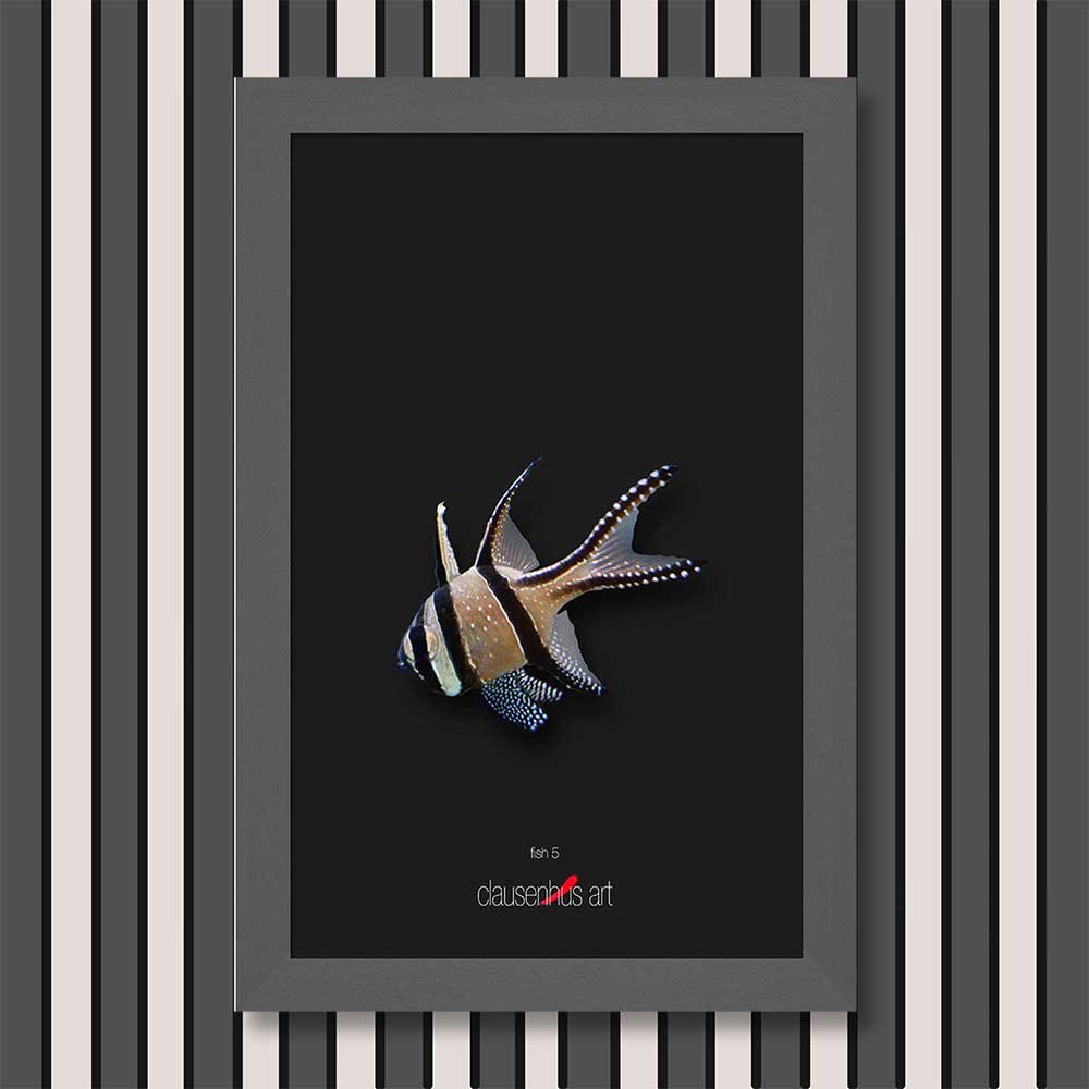 fish-5-copy.jpg
