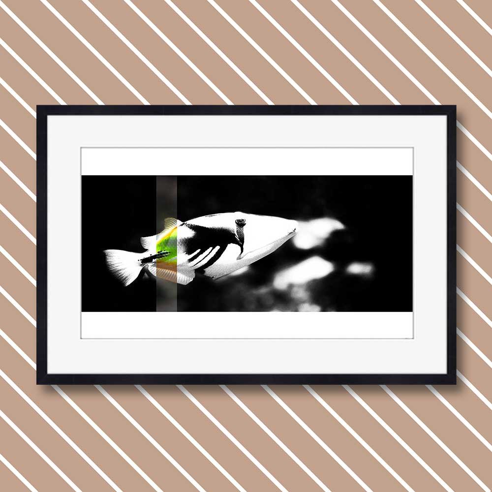 titel: perception 11