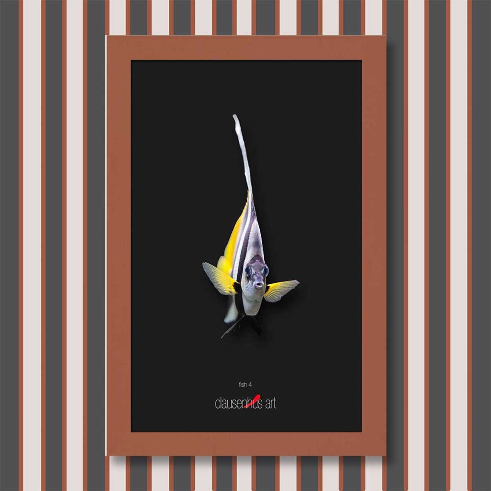 fish-4-copy.jpg