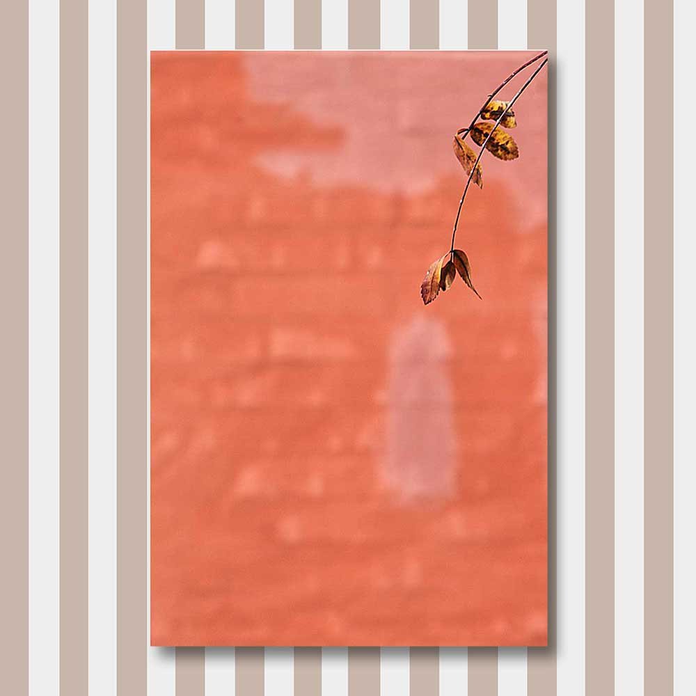 titel: time to fall