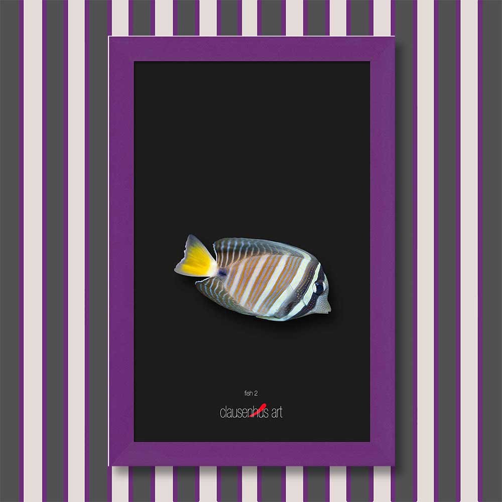 fish-2-copy.jpg