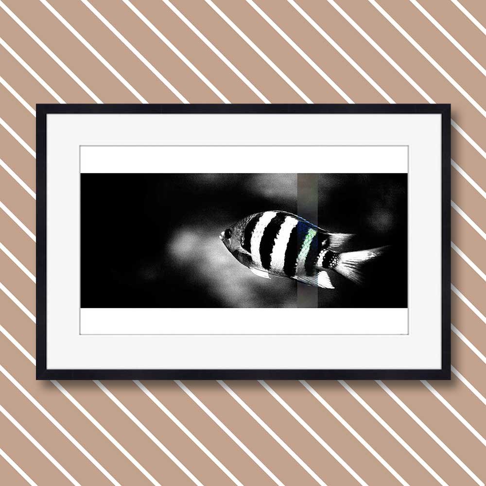 titel: perception 9
