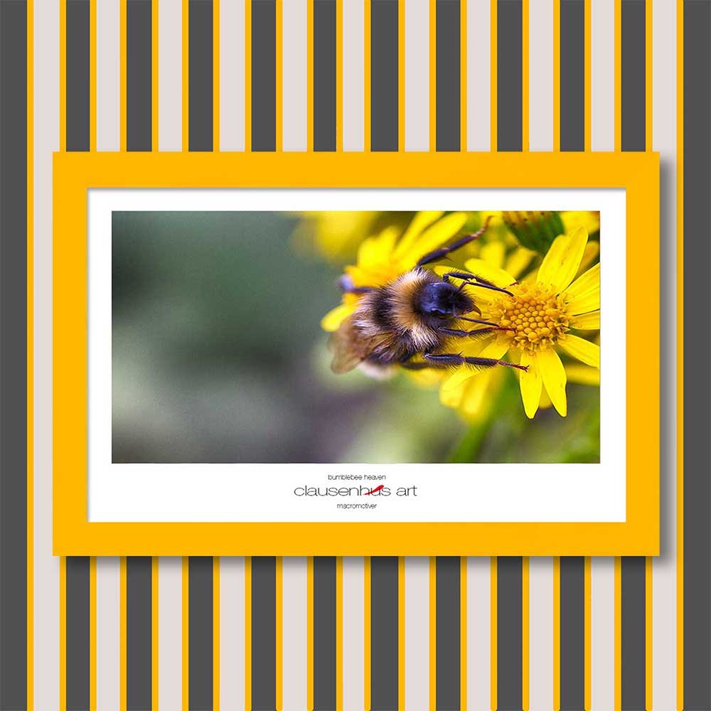 bumblebee-heaven-copy.jpg