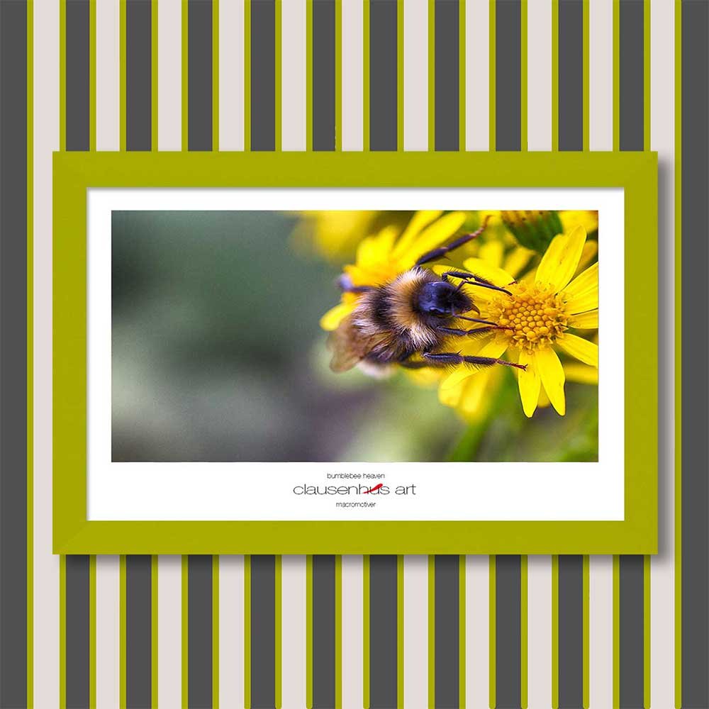bumblebee-heaven-copy.jpg