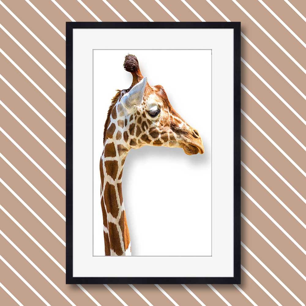 titel: giraff