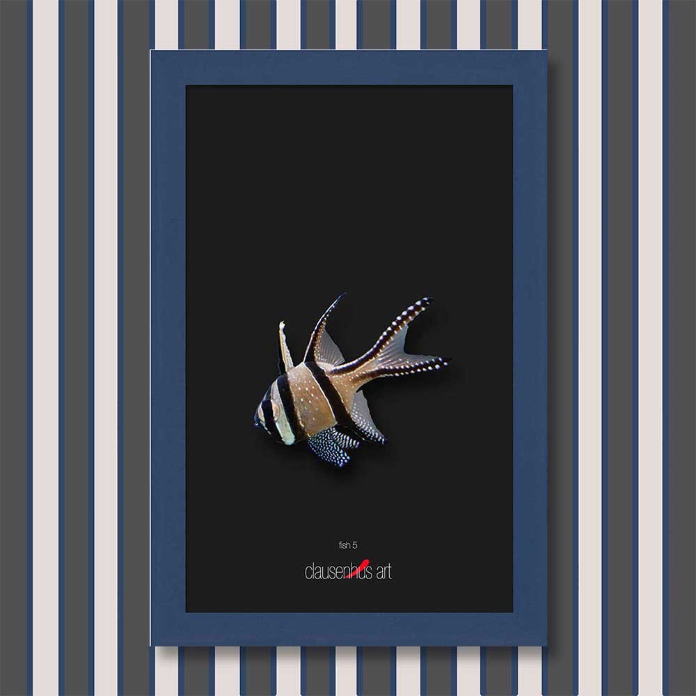 fish-5-copy.jpg
