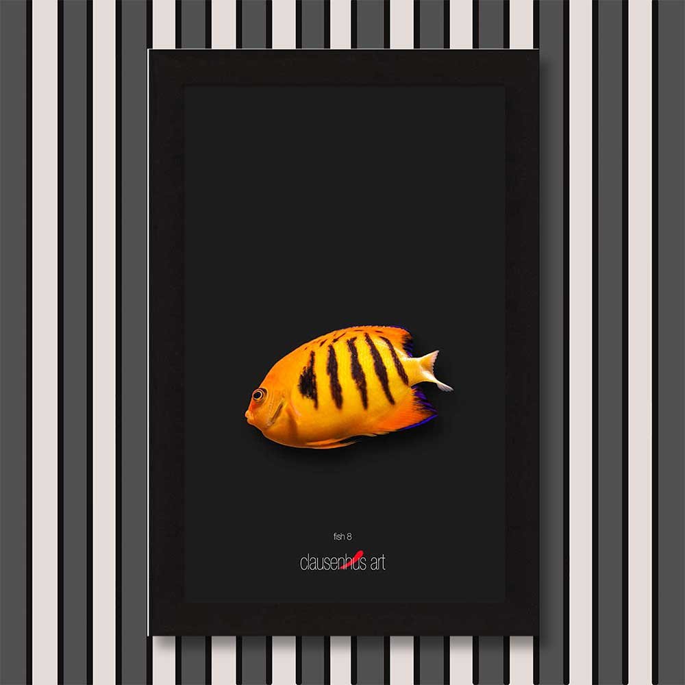 fish-8-copy.jpg