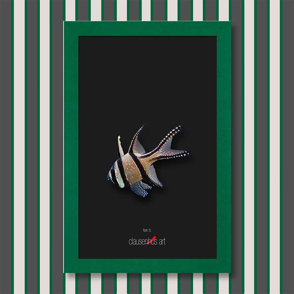 fish-5-copy.jpg