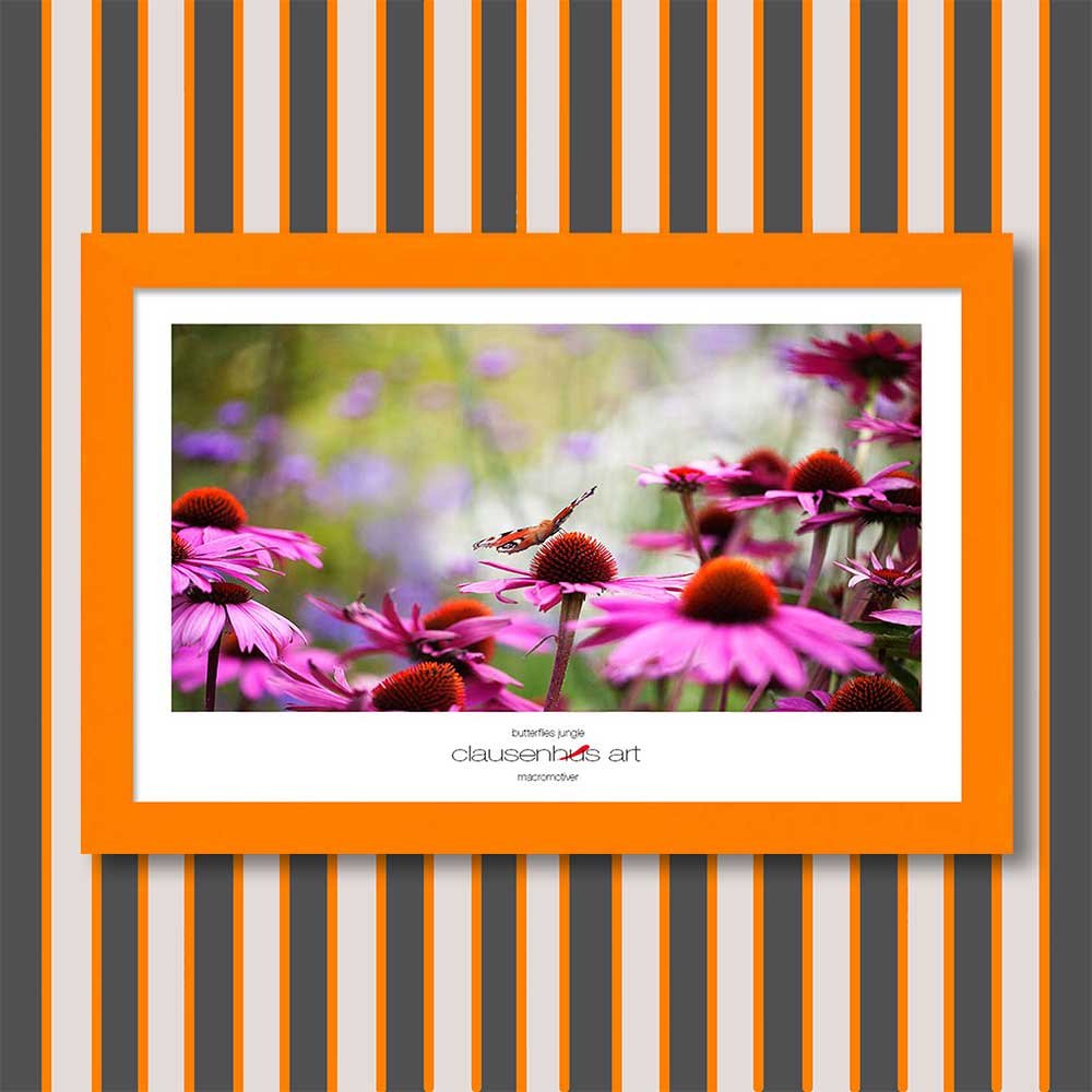 butterflies-jungle-copy.jpg