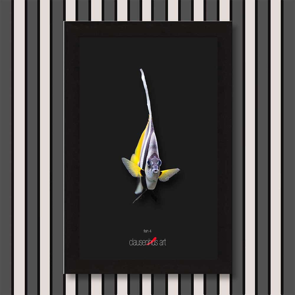 fish-4-copy.jpg