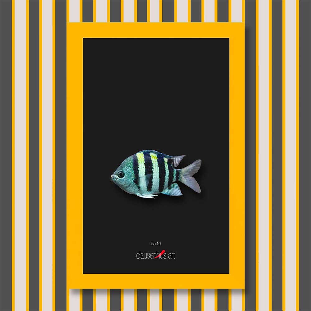 fish-10-copy.jpg