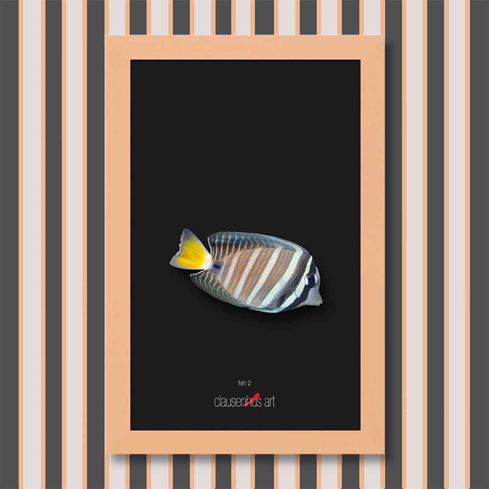fish-2-copy.jpg