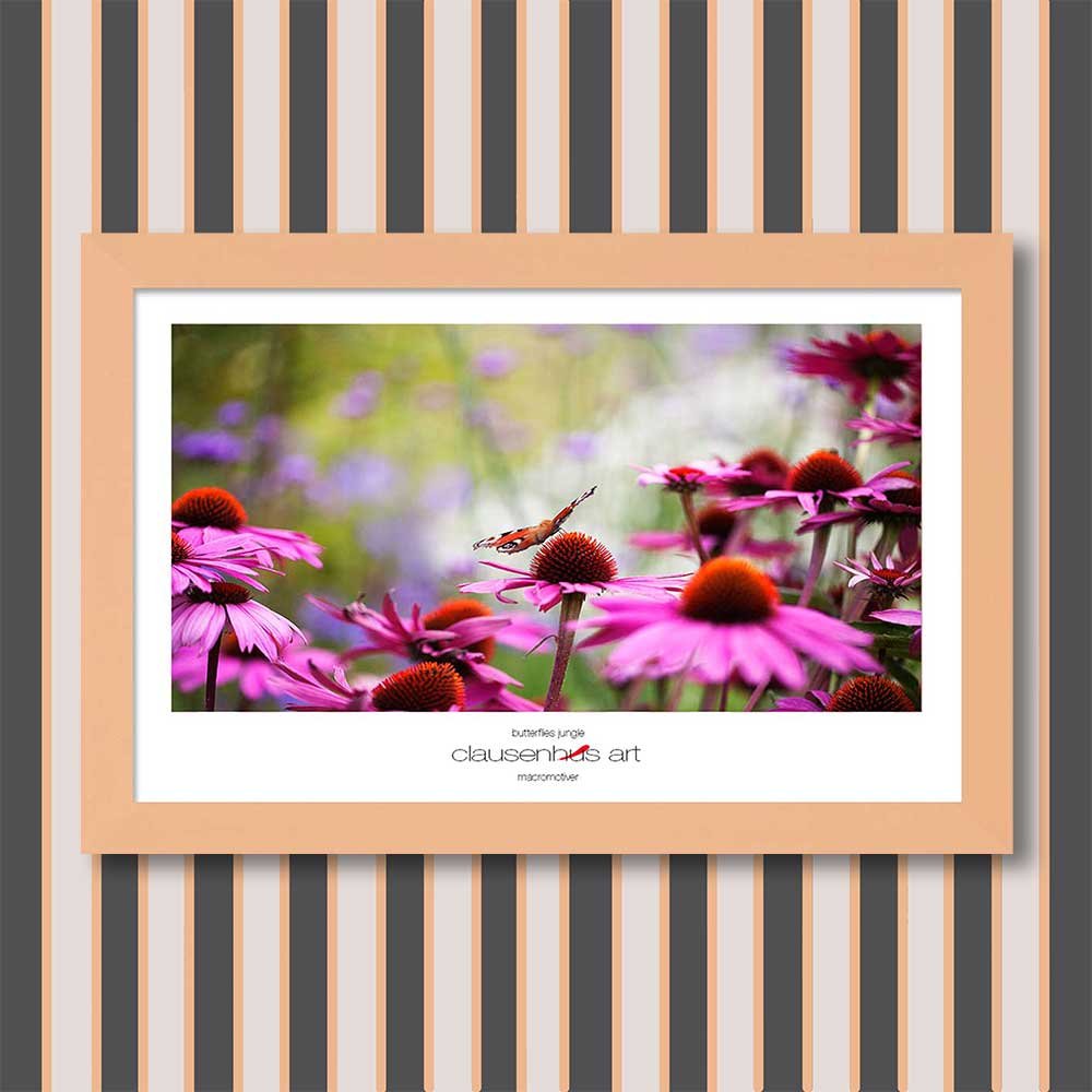 butterflies-jungle-copy.jpg