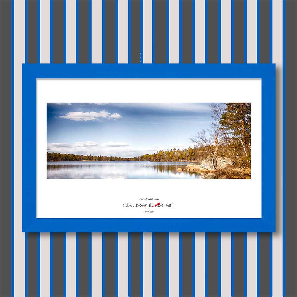 calm-forest-lake-copy.jpg