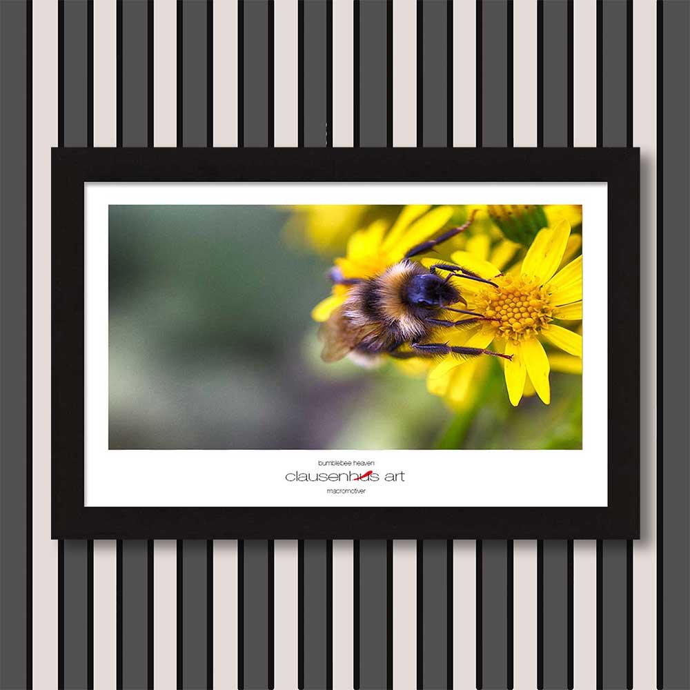 bumblebee-heaven-copy.jpg